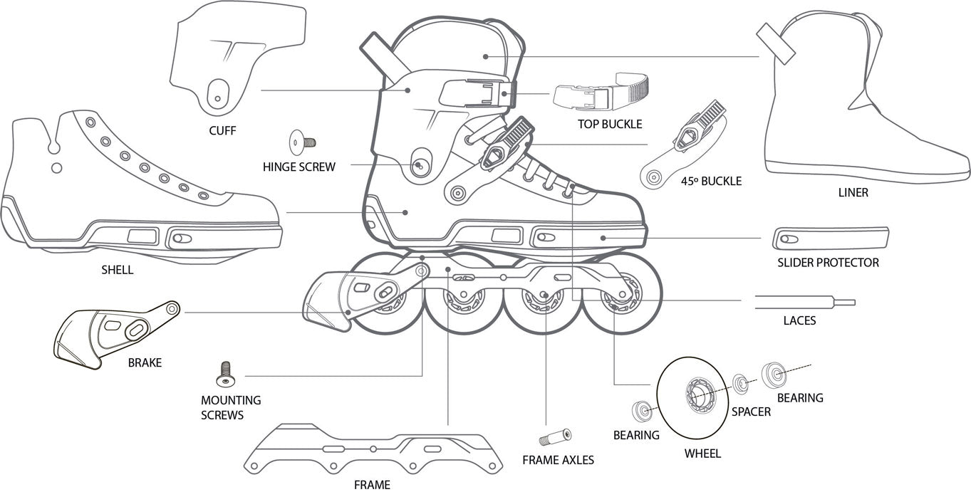 skate_anatomy_2_1